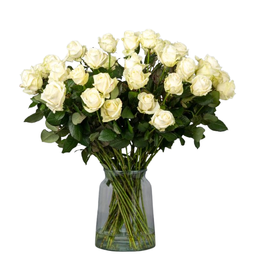 זר ורדים לבן