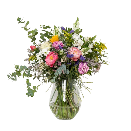 פריחה קלאסית